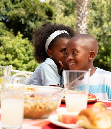 African American girl whispering on her brother ear during a family lunch in the garden
